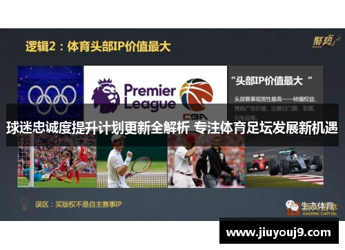 球迷忠诚度提升计划更新全解析 专注体育足坛发展新机遇