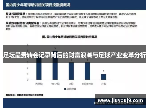 足坛最贵转会记录背后的财富浪潮与足球产业变革分析